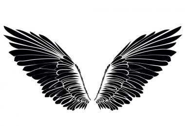 Kanatlar. Beyaz arka plan üzerinde vektör çizim. Siyah ve beyaz  