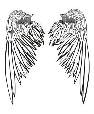 Kanatlar. Beyaz arka plan üzerinde vektör çizim. Siyah ve beyaz  