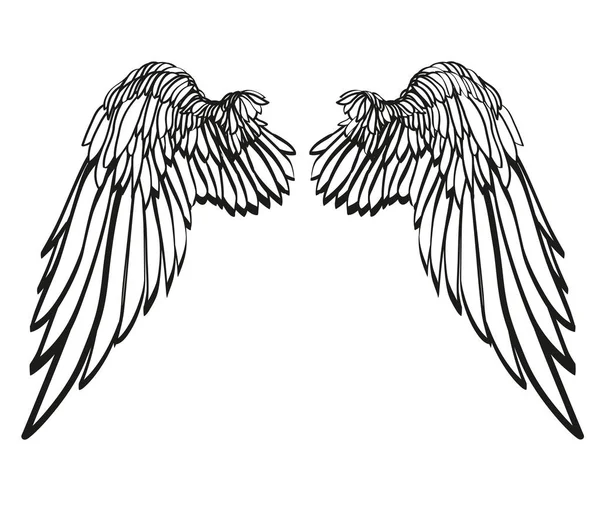 Des ailes. Illustration vectorielle sur fond blanc. Noir et blanc — Image vectorielle