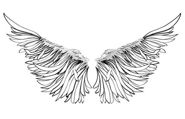 Vleugels. Vectorillustratie op witte achtergrond. Zwart-wit — Stockvector
