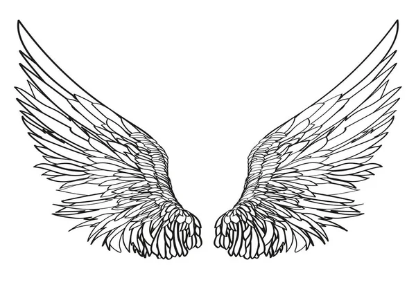 Wings. Vector illustration on white background. Black and white — Stock Vector