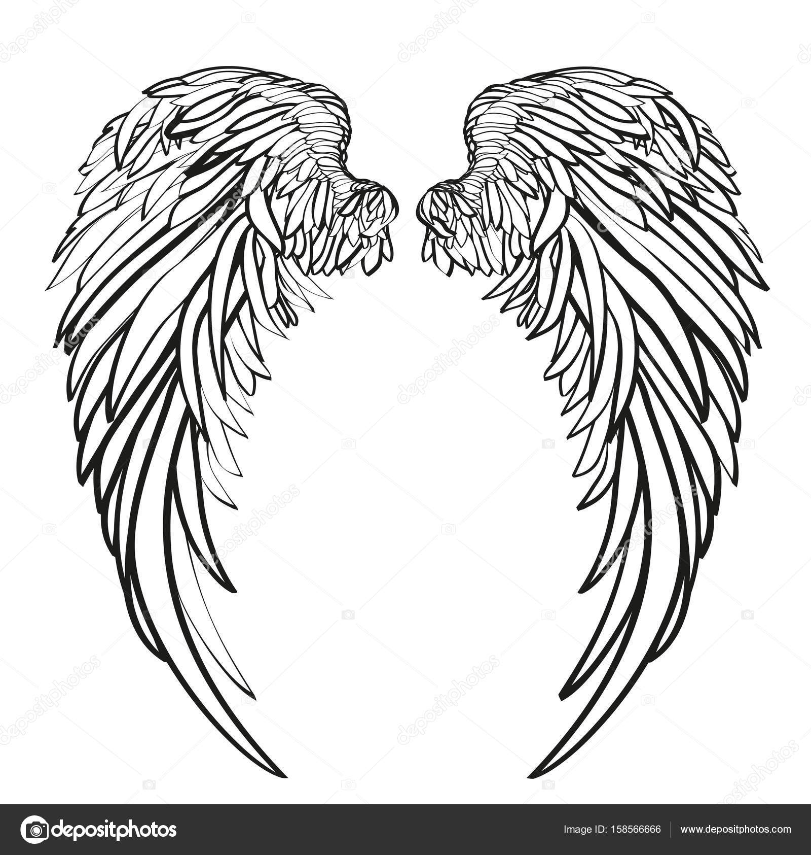 Wings. Vector illustration on white background. Black and white style