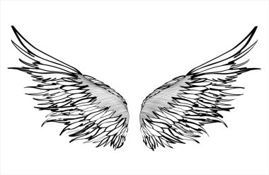 Kanatlar. Beyaz arka plan üzerinde vektör çizim. Siyah ve beyaz stili