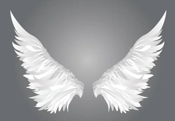 Wings. Vector illustration on white background. Black and white style — Stock Vector