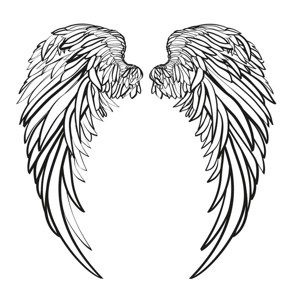 Des ailes. Illustration vectorielle sur fond blanc. Style noir et blanc — Image vectorielle