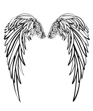 Kanatlar. Beyaz arka plan üzerinde vektör çizim. Siyah ve beyaz 