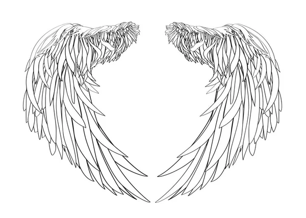 翅膀。白色背景上的矢量图。黑色和白色 — 图库矢量图片