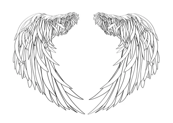 Wings. Vector illustration on white background. Black and white — Stock Vector