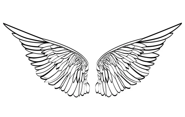 Wings. Vector illustration on white background. Black and white — Stock Vector