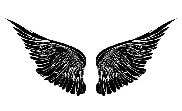 Des ailes. Illustration vectorielle sur fond blanc. Noir et blanc — Image vectorielle