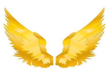 Kanatlar. Beyaz arka plan üzerinde vektör çizim. Altın rengi