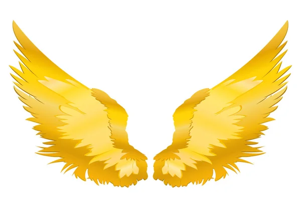 Wings. Vector illustration on white background. Golden color — Stock Vector