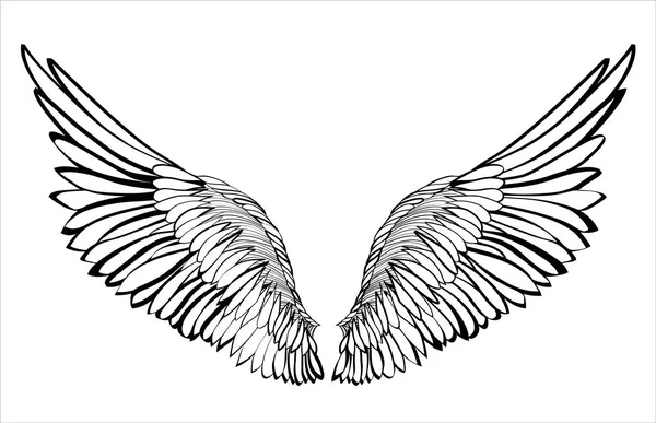 Wings. Vector illustration on white background. Black and white style — Stock Vector