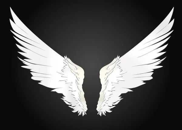 Wings. Vector illustration on white background. Black and white — Stock Vector