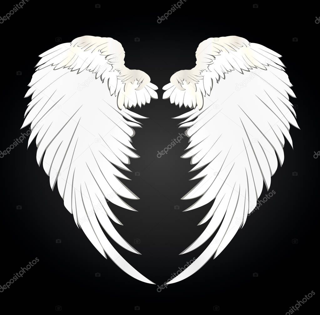 Wings. Vector illustration on black background. Black and white 