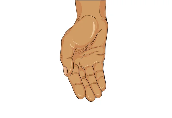Gesture open palm. Hand gives or receives. Vector illustration — Stock Vector