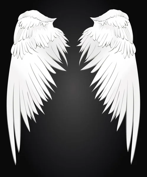 Wings. Vector illustration on white background. Black and white — Stock Vector