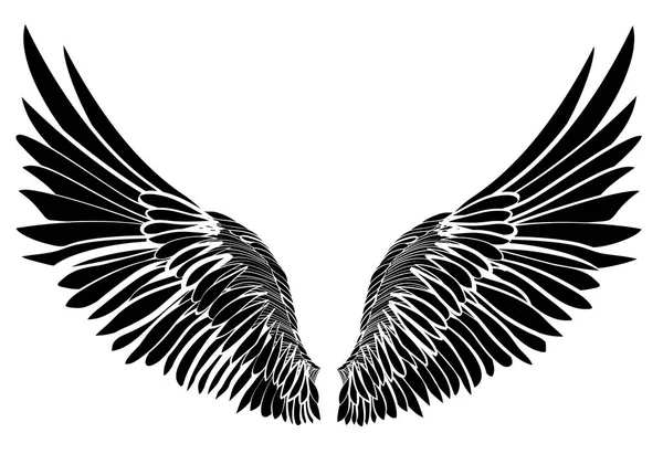 Des ailes. Illustration vectorielle sur fond blanc. Noir et blanc — Image vectorielle