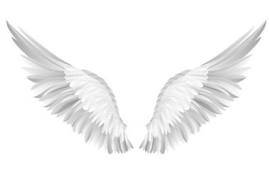 Kanatlar. Beyaz arka plan üzerinde vektör çizim. Siyah ve beyaz 