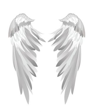 Kanatlar. Beyaz arka plan üzerinde vektör çizim. Siyah ve beyaz 