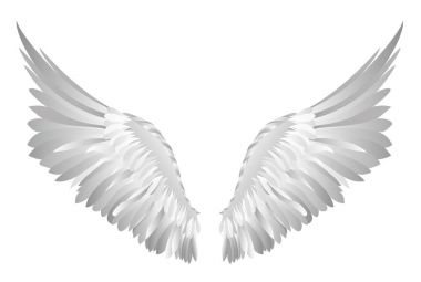 Kanatlar. Beyaz arka plan üzerinde vektör çizim. Siyah ve beyaz 