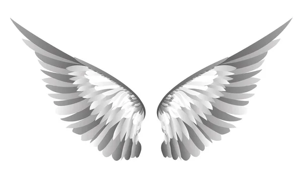 Des ailes. Illustration vectorielle sur fond blanc. Noir et blanc — Image vectorielle