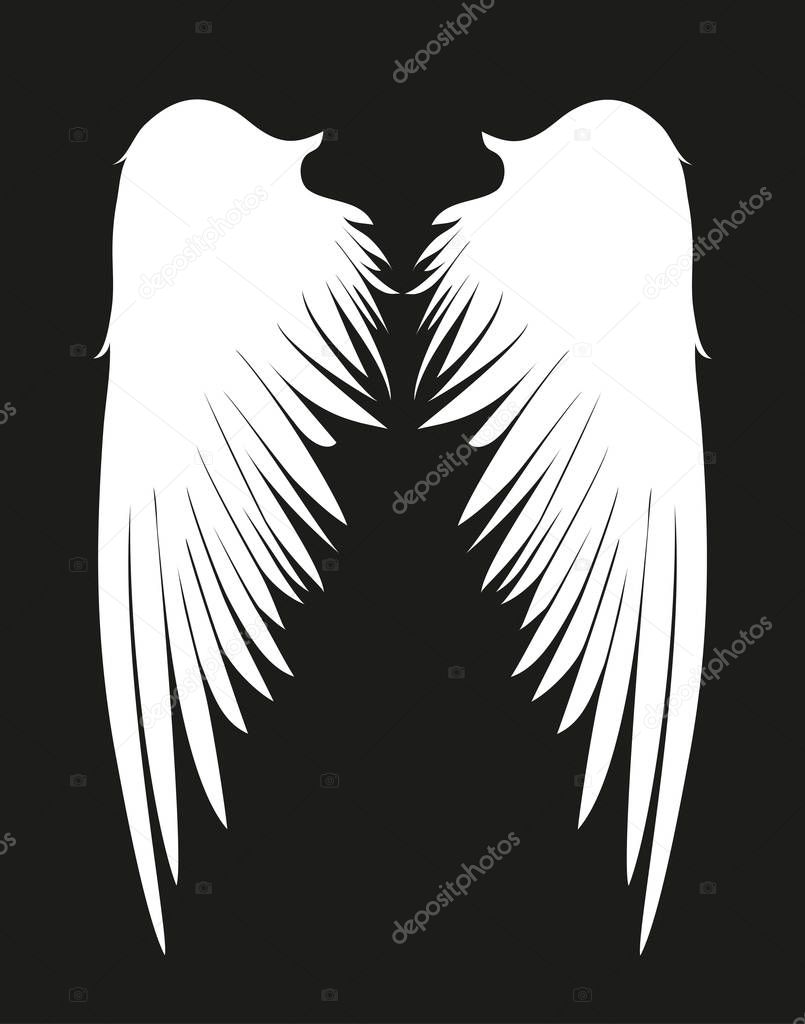 White Wings. Vector illustration on dark background. Black 