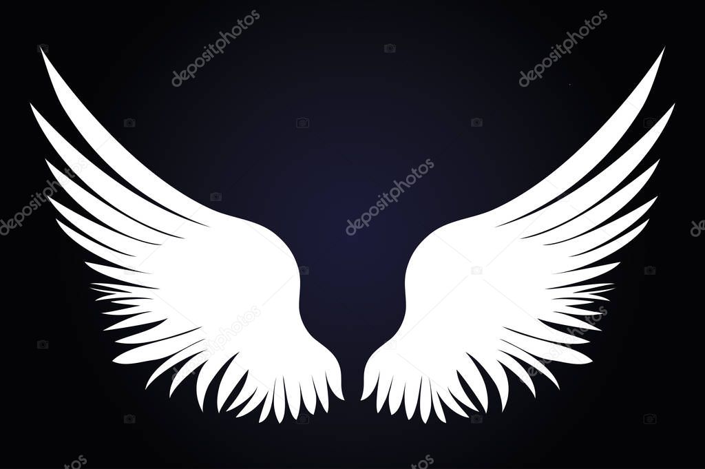 White Wings. Vector illustration on dark background. Black