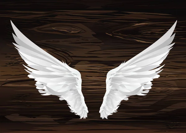 Křídla. Vektorové ilustrace na dřevěné pozadí. Černá a bílá — Stockový vektor