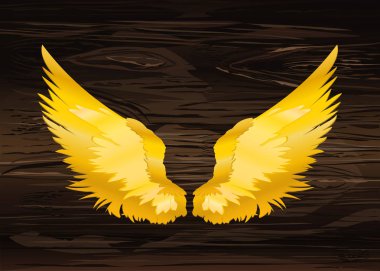Kanatlar. Ahşap arka plan üzerinde vektör çizim. Altın rengi