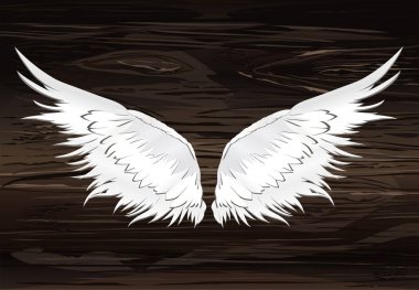 Kanatlar. Ahşap arka plan üzerinde vektör çizim. Siyah ve beyaz