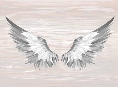 Kanatlar. Ahşap arka plan üzerinde vektör çizim. Siyah ve beyaz