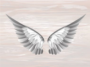 Kanatlar. Ahşap arka plan üzerinde vektör çizim. Siyah ve beyaz
