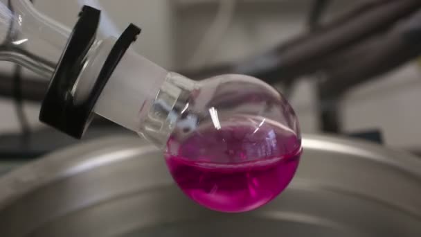 Frascos giratorios, tubos de ensayo de recipientes con ciencia química orgánica líquida — Vídeos de Stock