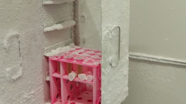Зберігання зразки водоростей у спеціальних Кріо морозильник технології — стокове відео