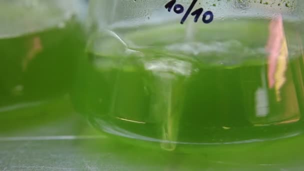 Storage, oxygenation algae laboratory — Stock Video