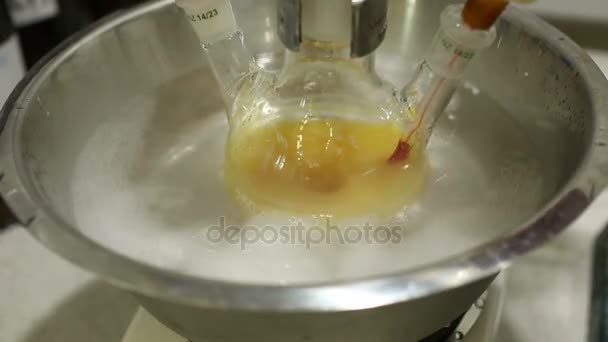 Експеримент органічної хімії бульбашки деталі, витягнуті з рослин — стокове відео