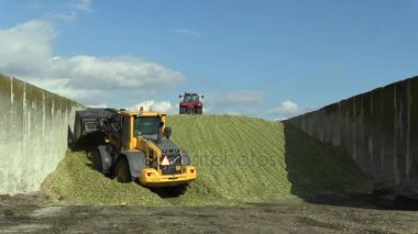 Olomouc, Çek Cumhuriyeti, 4 Eylül 2016: Mısır Silaj kazık beton çukur, yükleyici tekerlek Volvo ve Silaj sıkıştırma özel tekerlekli traktör Case 290 magnum kitle