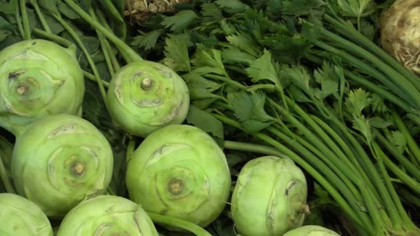 Kedlubny Brassica oleracea a celer Apium graveolens, velmi čerstvá na trhu, venkovní městské hlavy celeru, řapíky jsou jedl, Evropa — Stock video