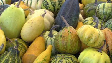 Taze kabak, su kabakları ve kabak Cucurbita pepo Pattypan veya beyaz squash, kaliteli doğal sebze, mükemmel çeşitleri, sağlıklı beslenme ile Pazar canlılık için