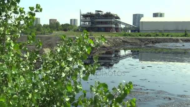 OSTRAVA, REPUBBLICA CECA, 3 AGOSTO 2015: L'ex discarica rifiuti tossici a Ostrava, laguna di petrolio, Ostramo, effetti della natura dal suolo contaminato da sostanze chimiche e olio, foglie di topoli verdi vivi — Video Stock