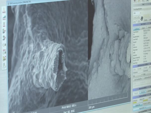 BRNO, REPUBLICA CZECH, IANUARIE 18, 2015: Microscop electronic, cercetare stiintifica a nanoparticulelor de materiale fizice, munca profesionala moderna foarte solicitanta, detalii de monitorizare, stiinta nanotehnologiei — Videoclip de stoc