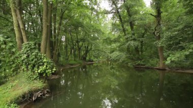 İç River Delta nehir taşkın yatağının orman, Lowlands, Litovelske Pomoravi