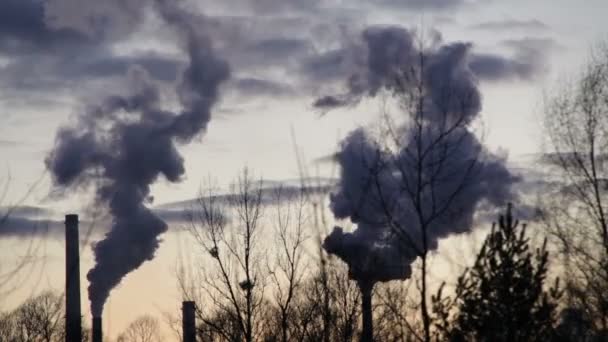 Fabbrica per la lavorazione di metallo caldo e acciaio, camini fumo timelapse nero, smog in città Ostrava, polvere nell'aria, pericolo per la salute umana situazione grave, fumo rapido, ombre di alberi — Video Stock