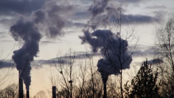 Fabbrica per la lavorazione di metallo caldo e acciaio, camini fumo nero, smog in città Ostrava, polvere nell'aria, pericolo per la salute umana calamità grave situazione, ombre di alberi, inquinamento — Video Stock