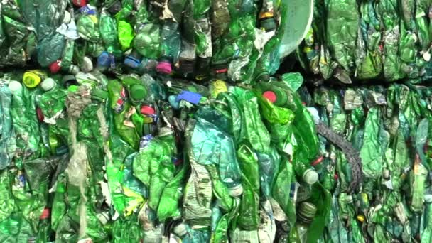 Emballage séparé et pressé de bouteilles en plastique vert et transparent prêt pour le recyclage et la production d'autres nouveaux matériaux. Respectueux de l'environnement, économique et écologique, Tchèque — Video