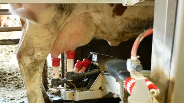 Роботизована машина для доїння корів унікальна інтелектуальна роботизована деталь рук лазерне кріплення для соски. Робот виробництва молочного сараю хіт-технологічна молочна ферма сучасні технології, сучасні технології — стокове відео