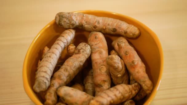 A kurkuma gyökerek Rhizome Curcuma longa tálban, indiai sáfrány főtt szárítják, és őrölt sárga por. Használt curry fűszerek gyulladáscsökkentő hatása, pakisztáni és thai konyha — Stock videók