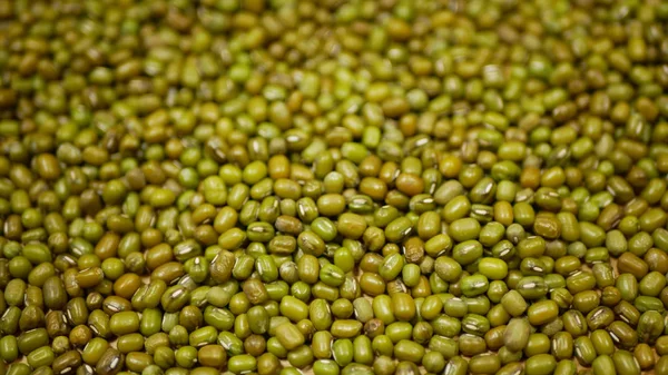 Feijão verde ou grama legume, maash moong planta, leguminosas para nutrição saudável, superfood. Índia Cozinha asiática comido erva crua, agricultura, loja nutrição saudável, detalhe bio orgânico — Fotografia de Stock