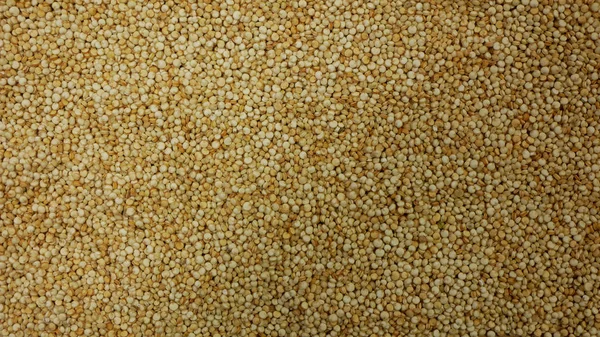 Quinoa Chenopodium quinoa seeds superfood detail close-up bio organic, fruit plant ceased to cereal suitable for vegan nutrition, vegetarians shop store grains, Peru Bolivia cuisine, gluten-free — Stock Photo, Image